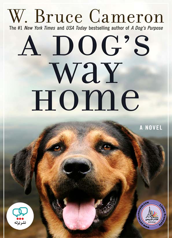 رمان انگلیسی A Dogs Way Home