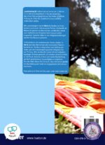 کتاب آلمانی Lesetraining B1