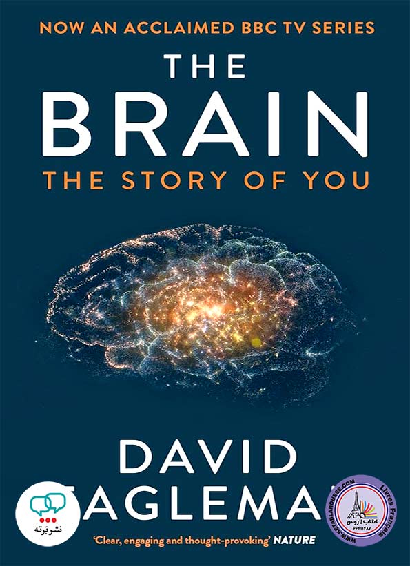 رمان انگلیسی The Brain